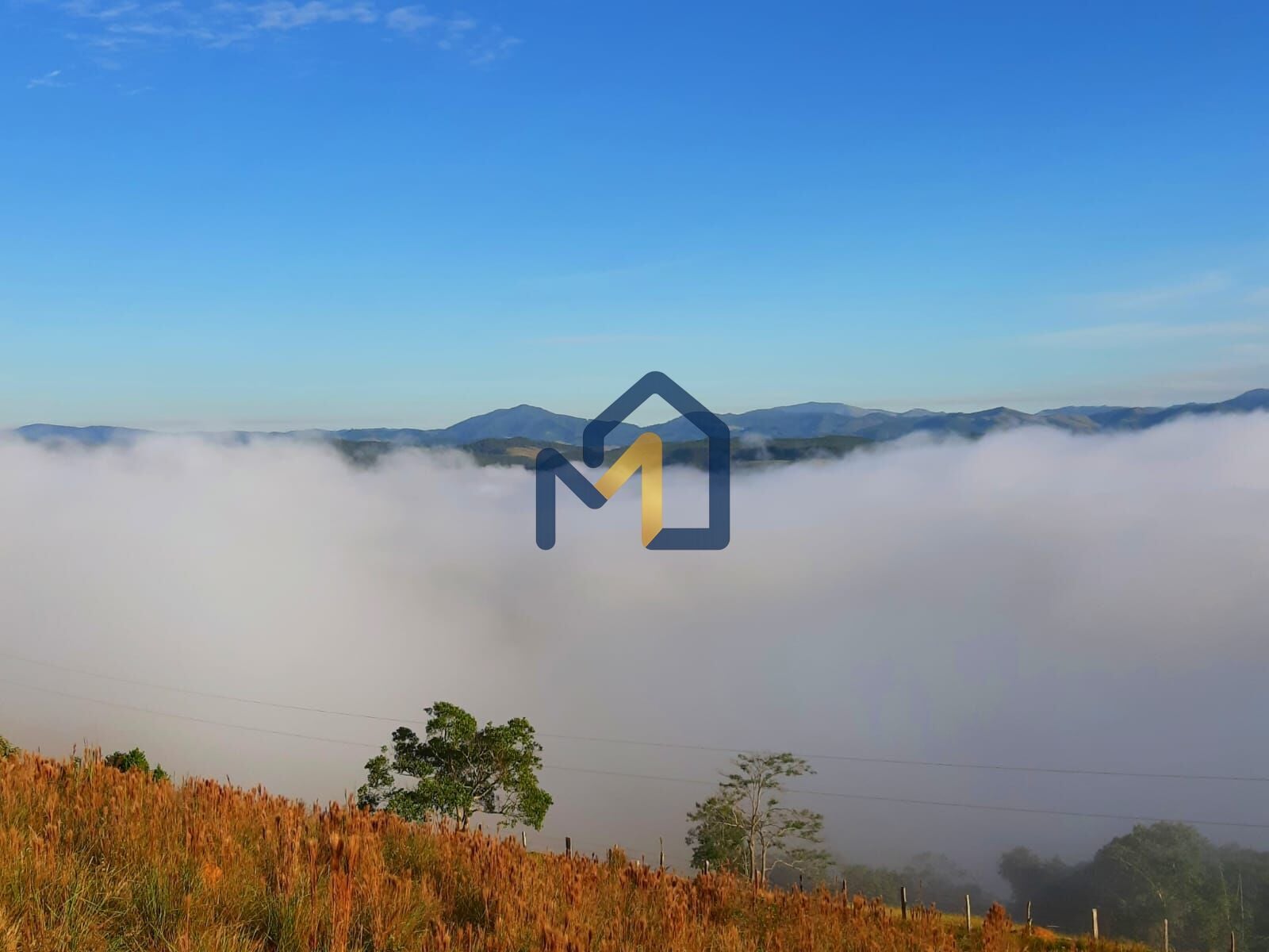 Terreno, 2 hectares - Foto 11