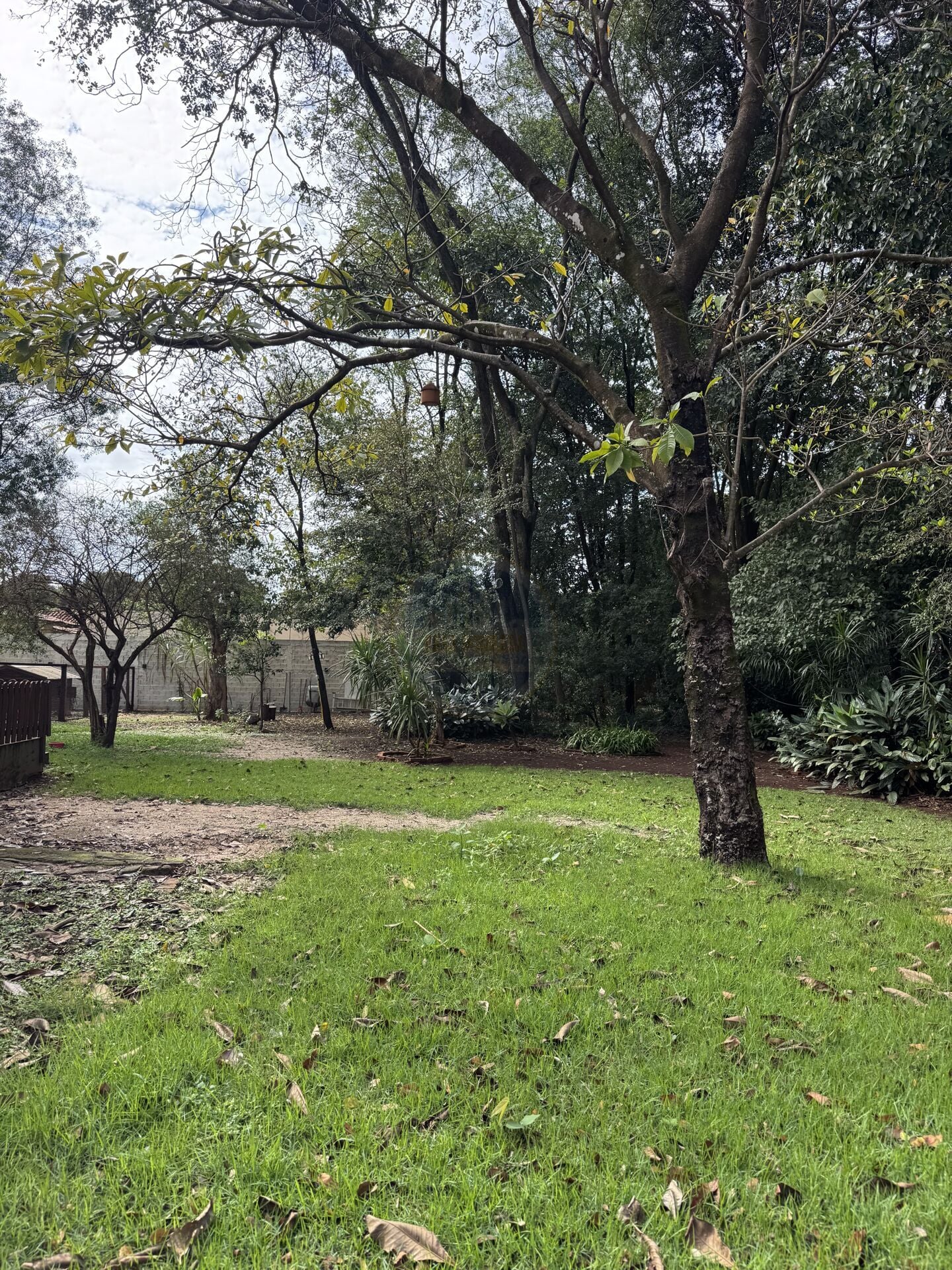 Rural no Jardim Murakami, foto 18 de 25