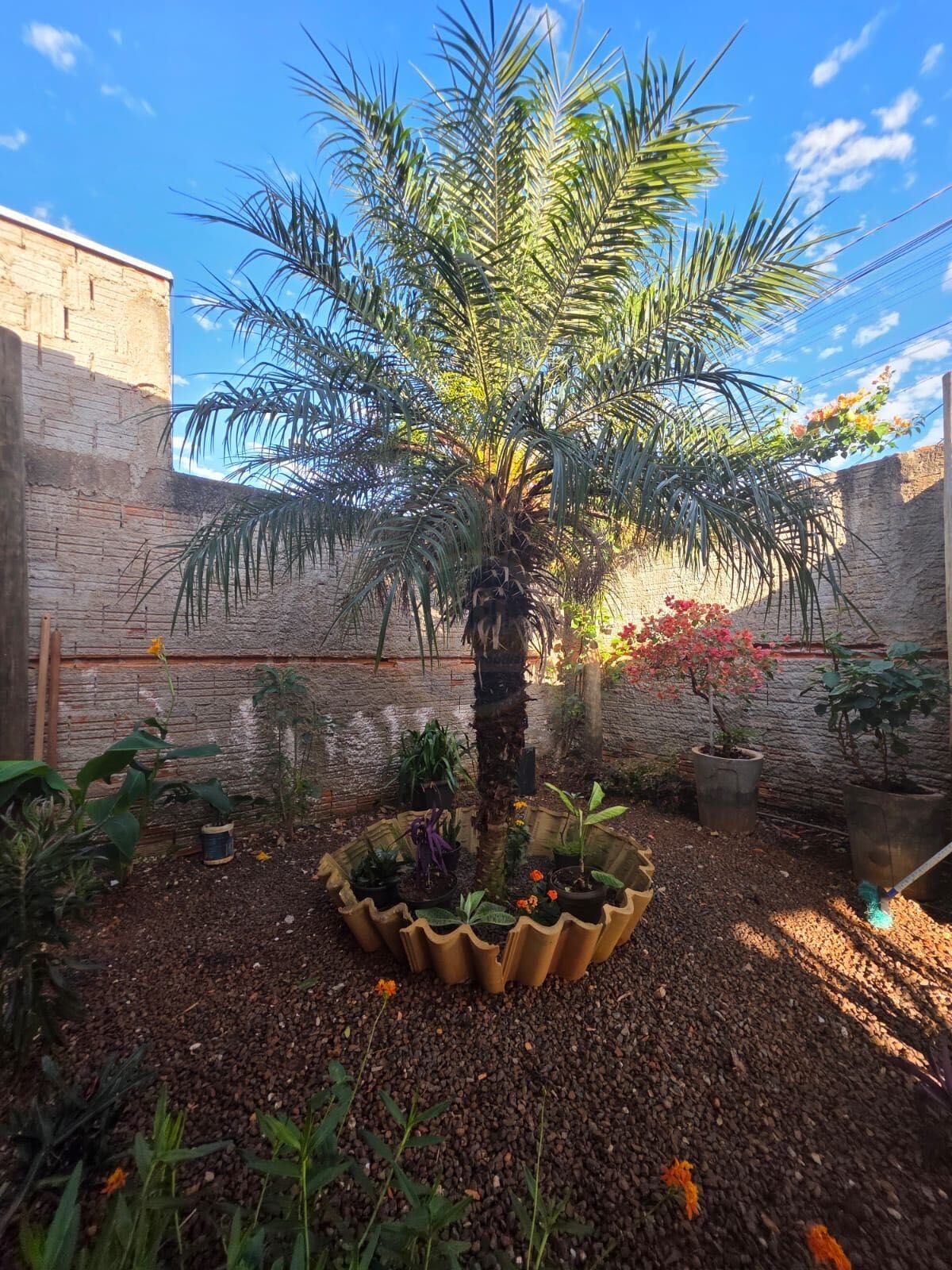 Casa em Flor de Maio, foto 21 de 22