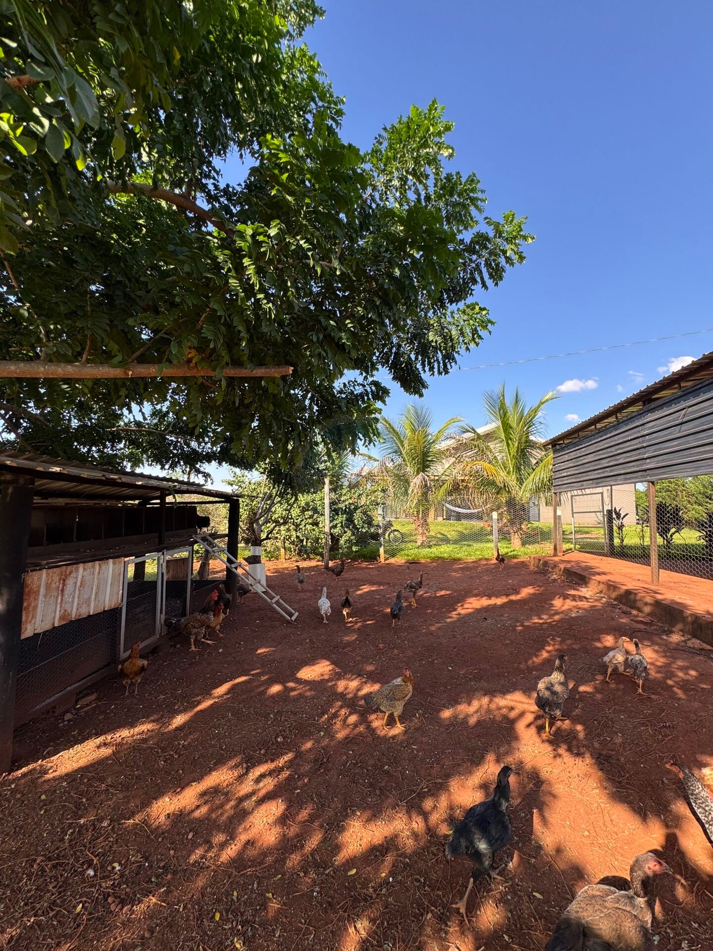 Rural no Centro, foto 43 de 47