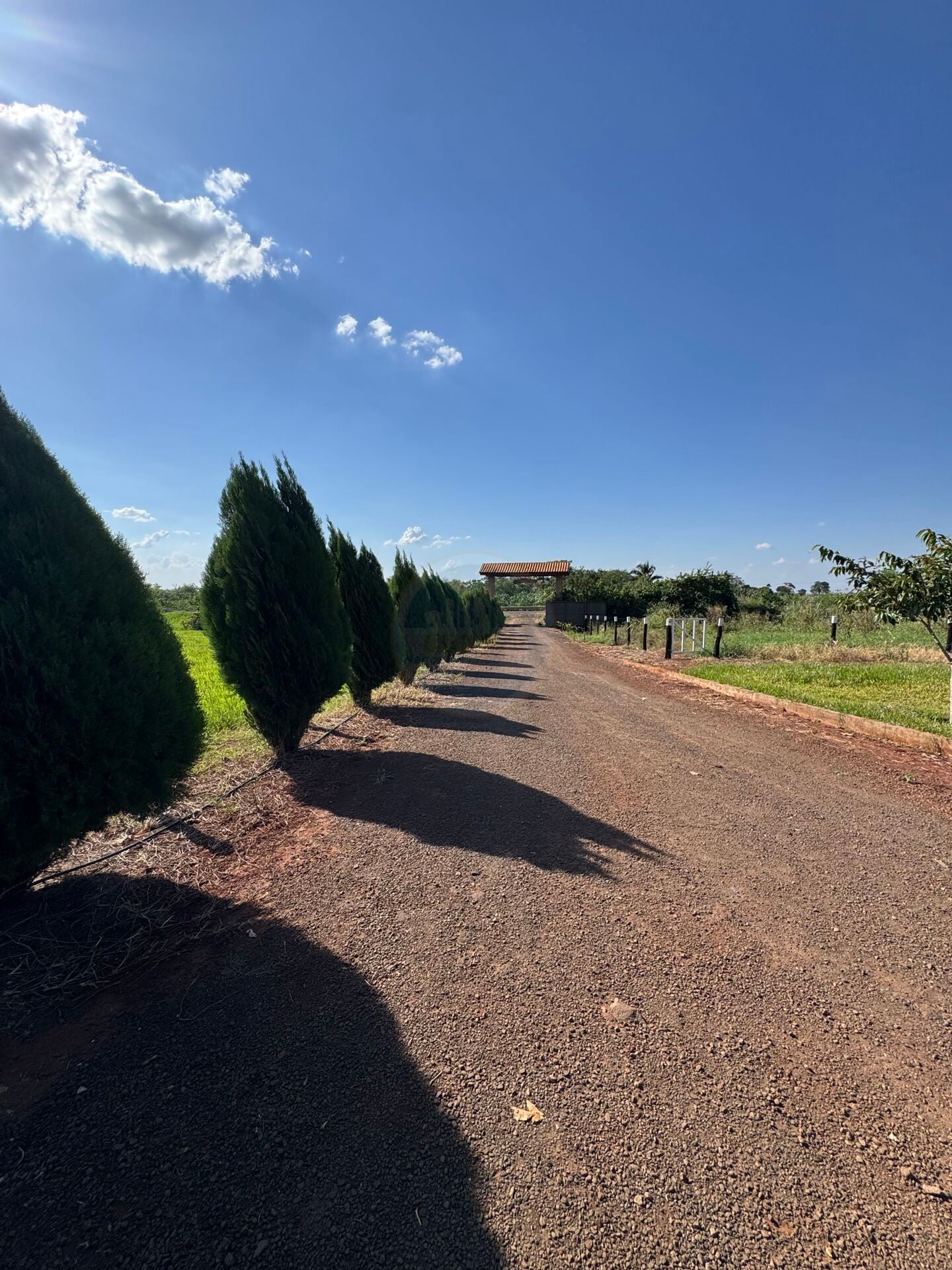 Rural no Centro, foto 9 de 47
