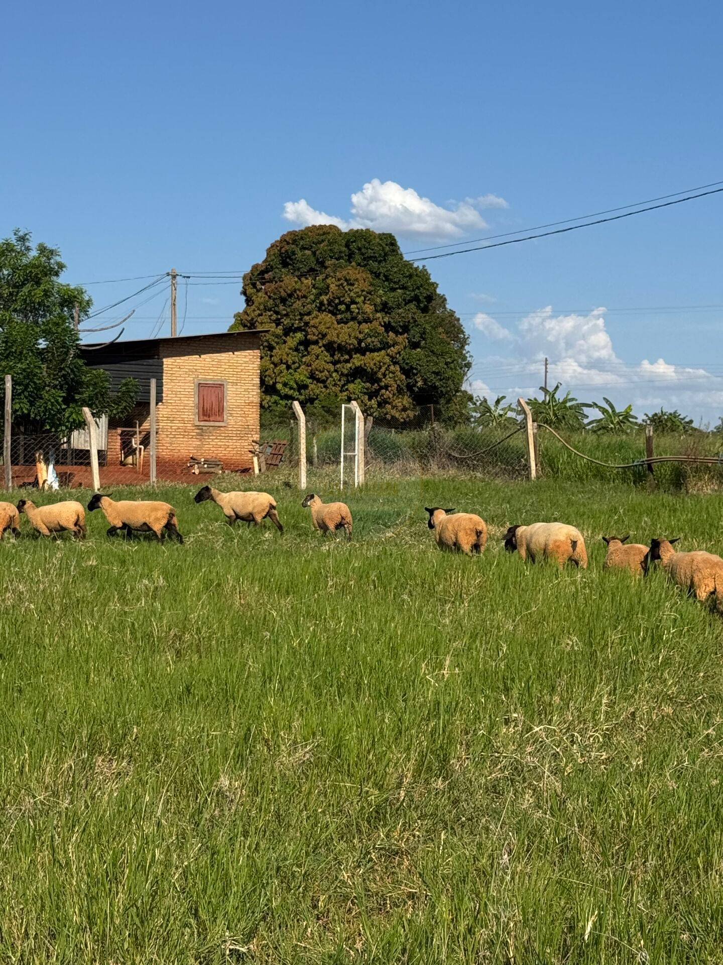 Rural no Centro, foto 38 de 47