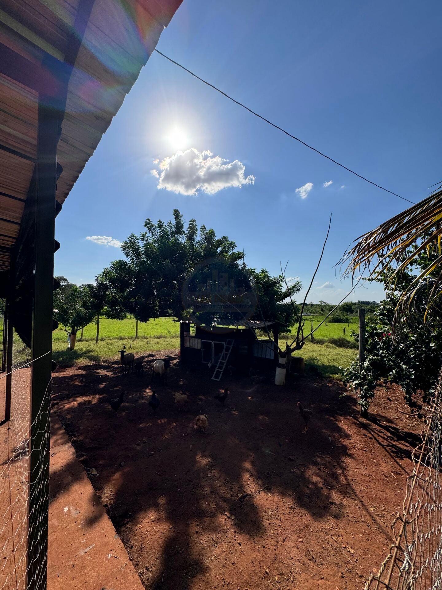 Rural no Centro, foto 19 de 47