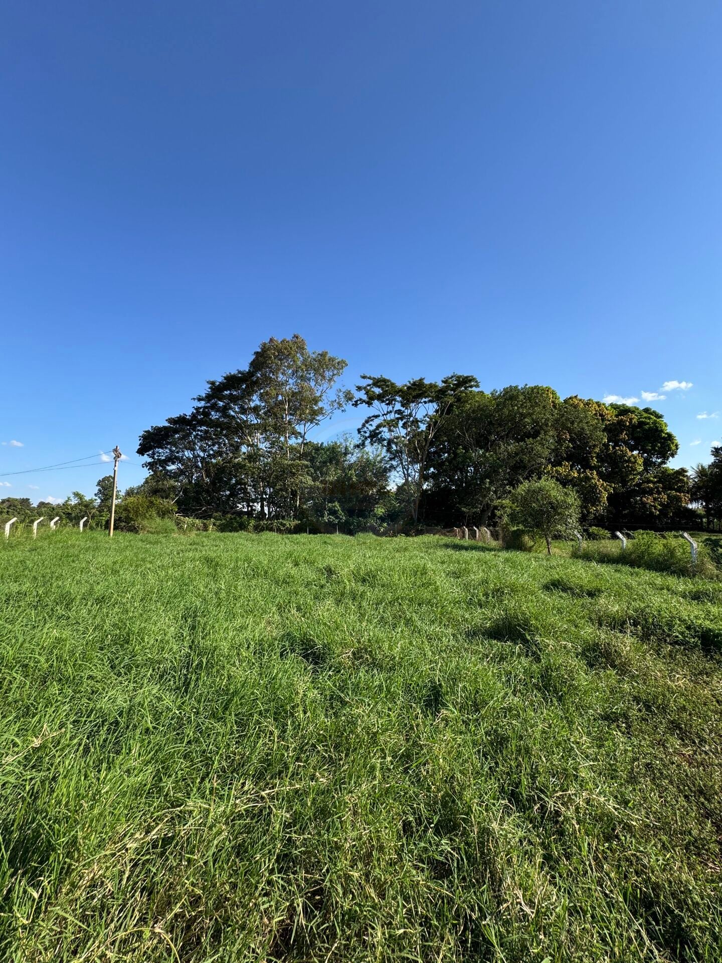 Rural no Centro, foto 36 de 47