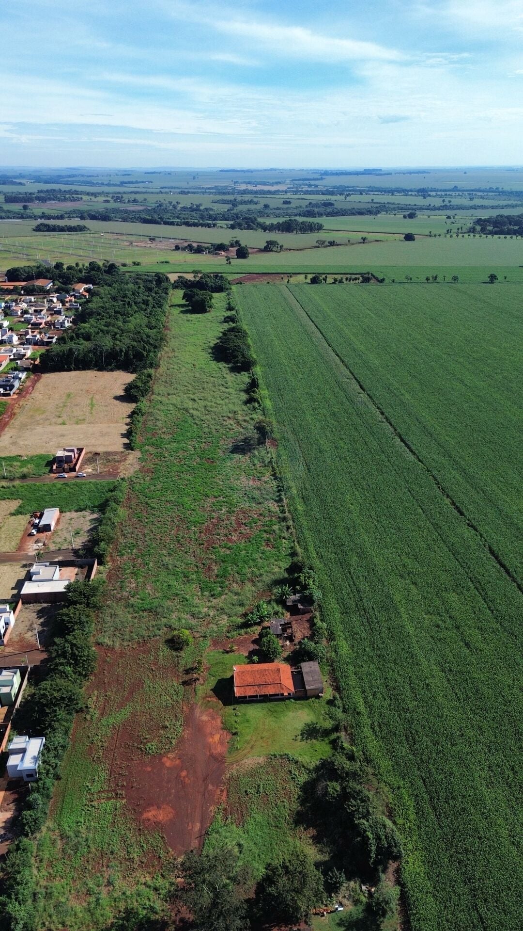 Terreno em Vival Castelo, foto 5 de 8