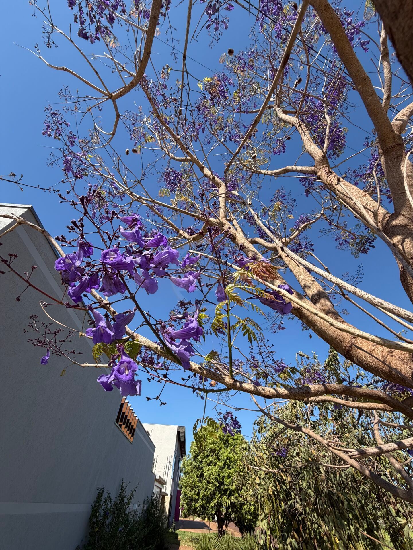 Casa em Santa Fé, foto 37 de 45