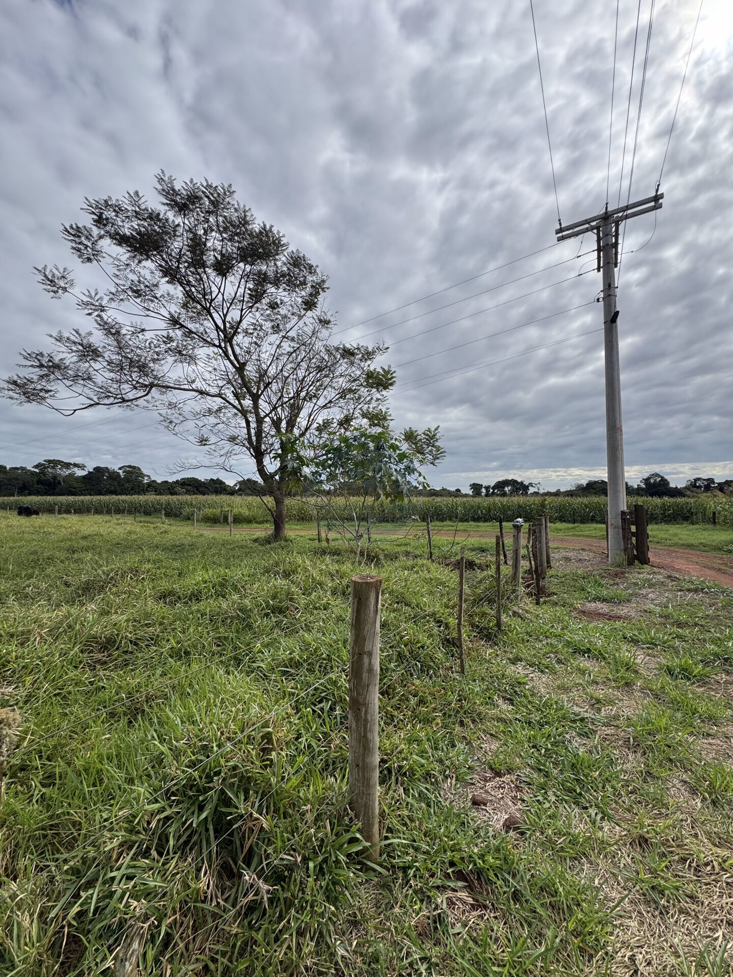 Terreno na Zona Rural, foto 5 de 12