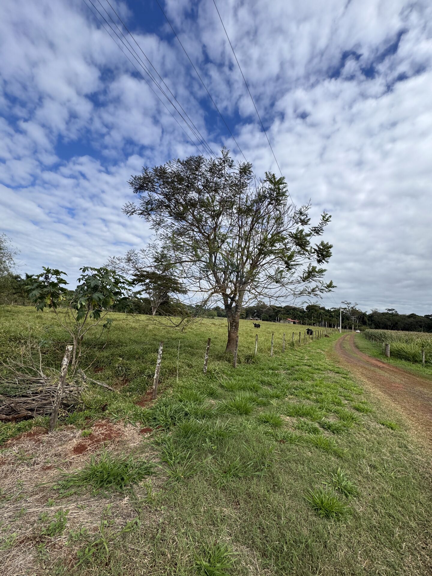 Terreno na Zona Rural, foto 12 de 12