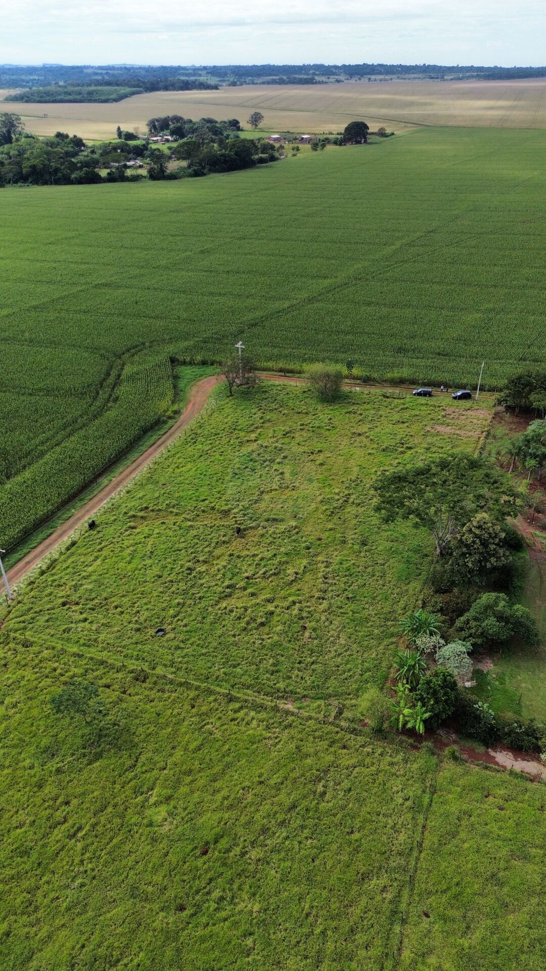 Terreno na Zona Rural, foto 8 de 12