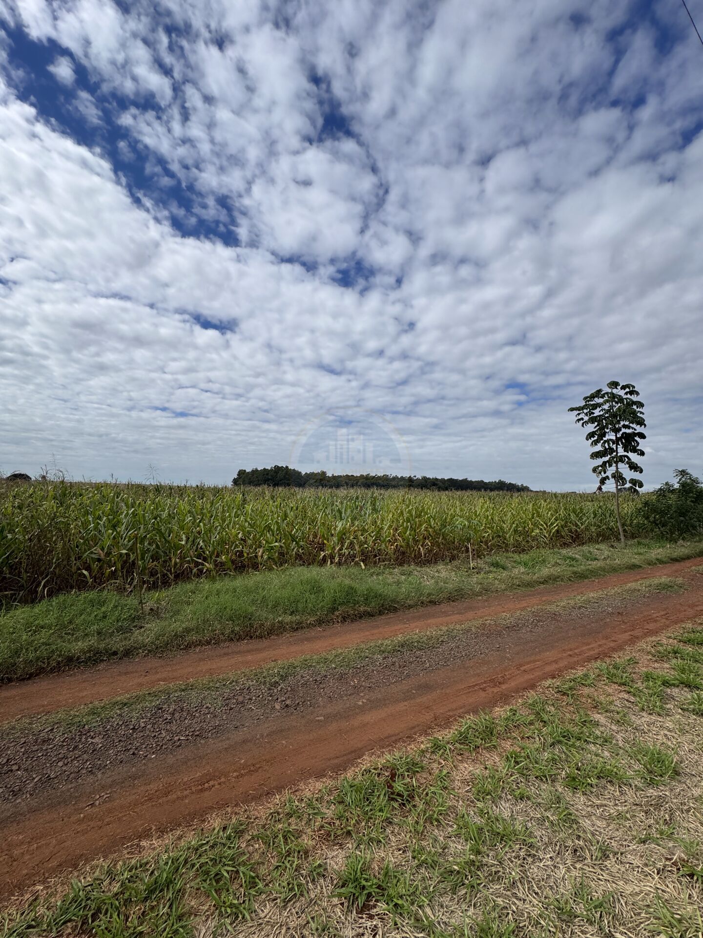 Terreno na Zona Rural, foto 9 de 12