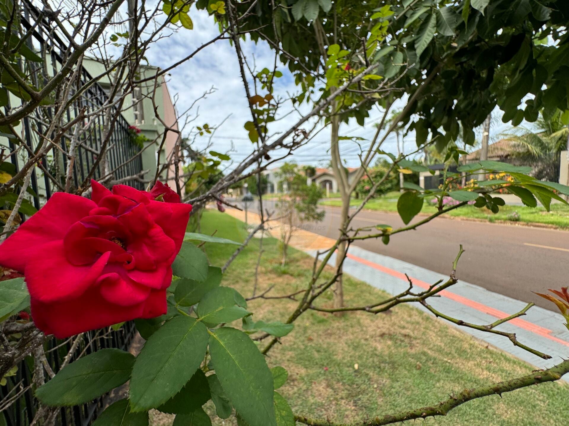 Casa na Vila São Luiz, foto 29 de 30