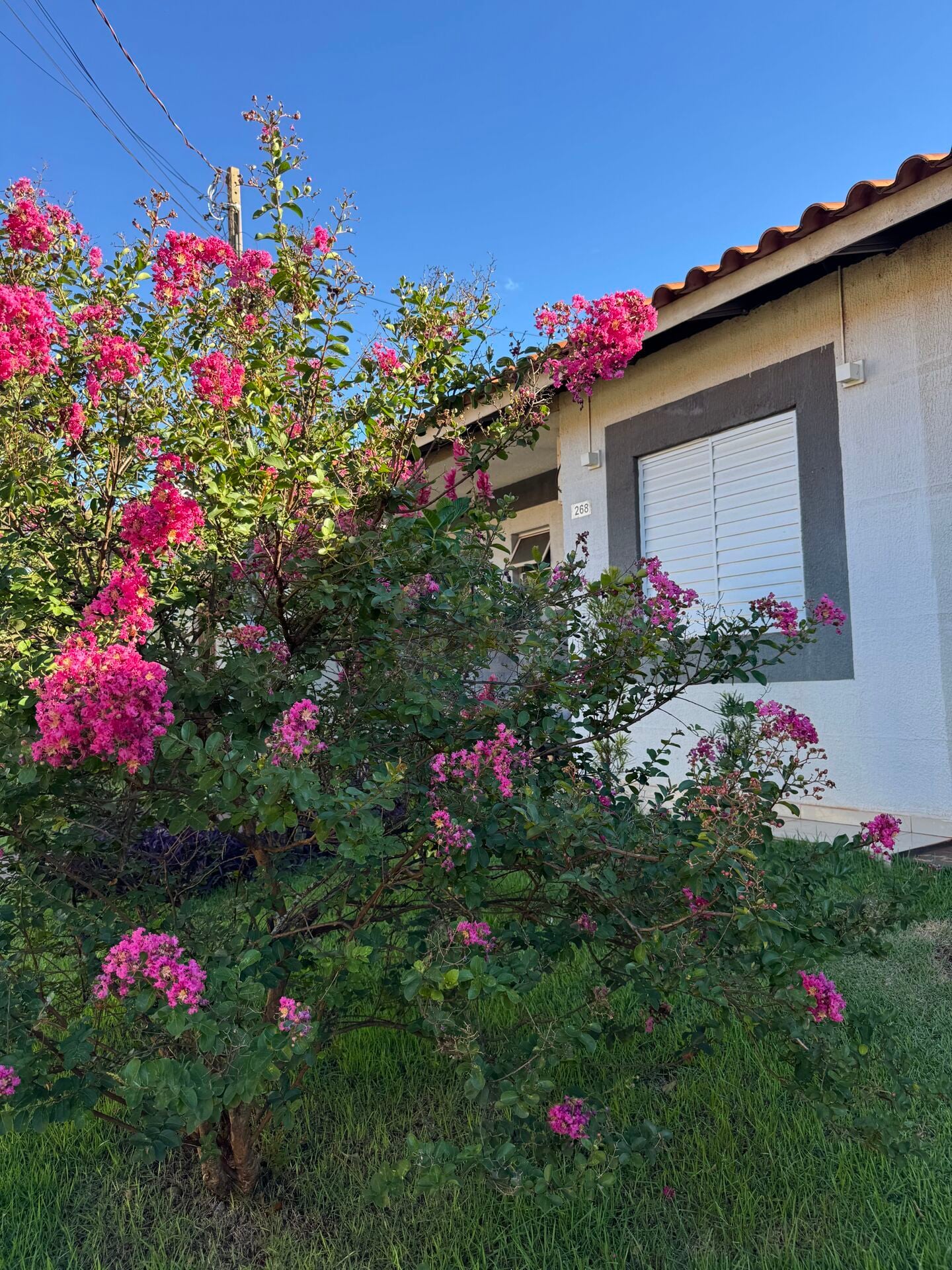Casa no Jardim Novo Horizonte, foto 21 de 28