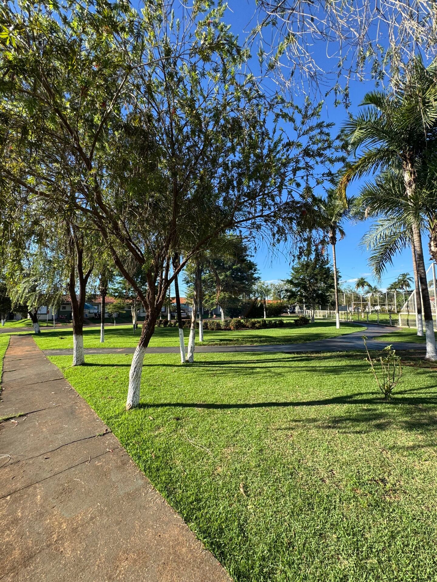 Casa no Jardim Novo Horizonte, foto 28 de 28