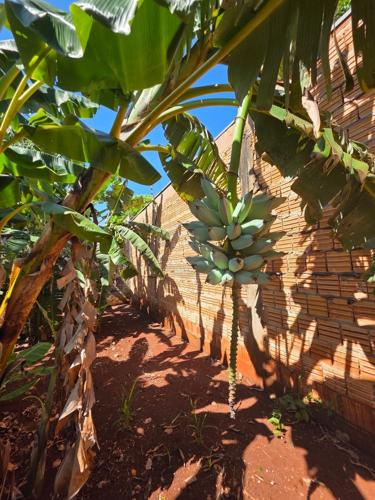 Casa no Jardim Márcia, foto 18 de 20
