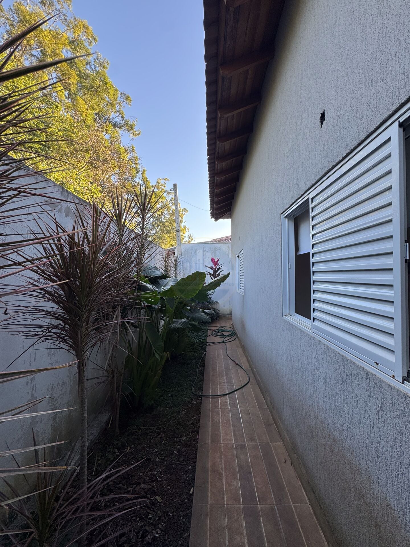 Casa no Jardim Mônaco, foto 6 de 19