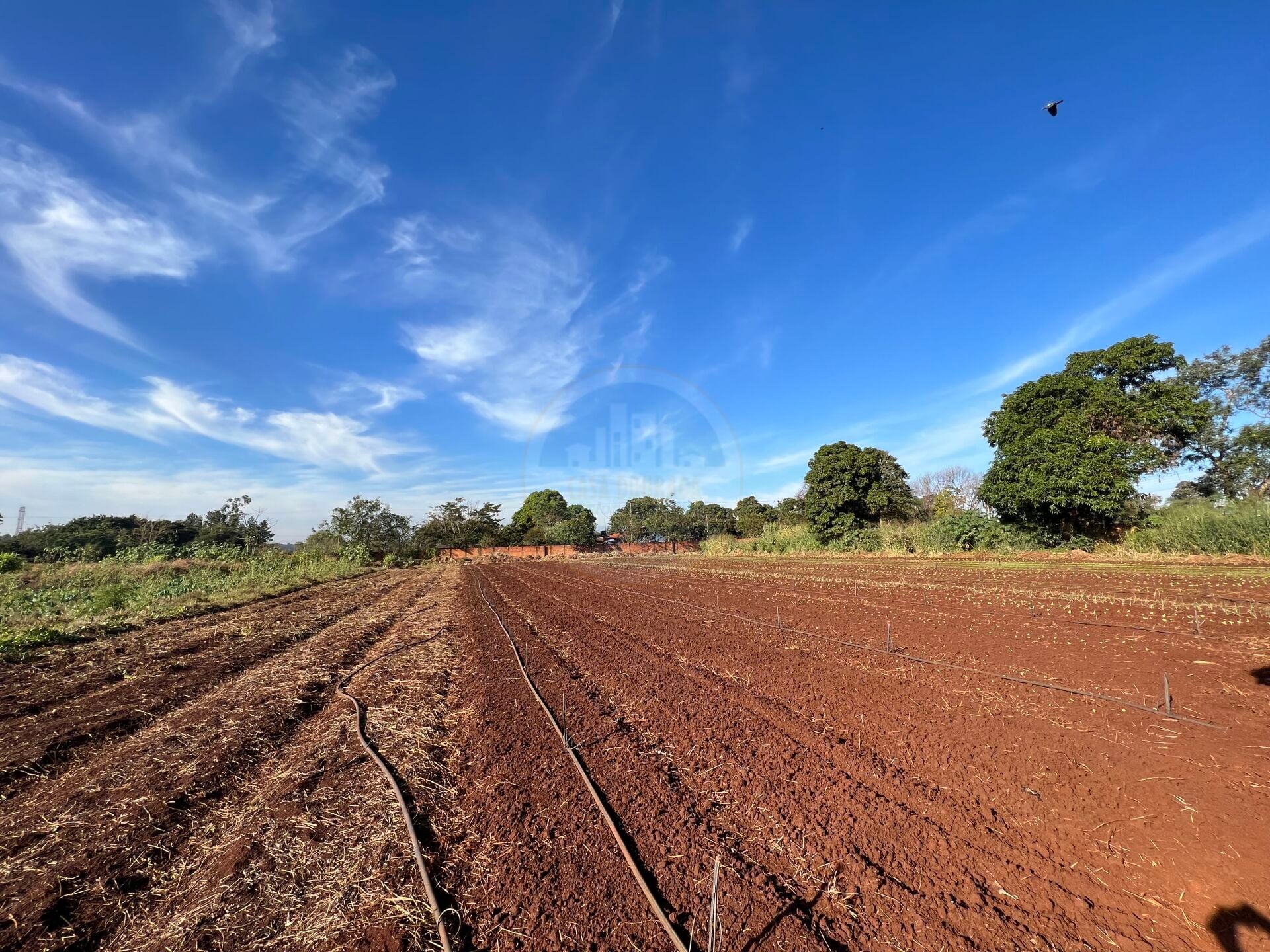 Rural no Parque das Naçôes, foto 12 de 12