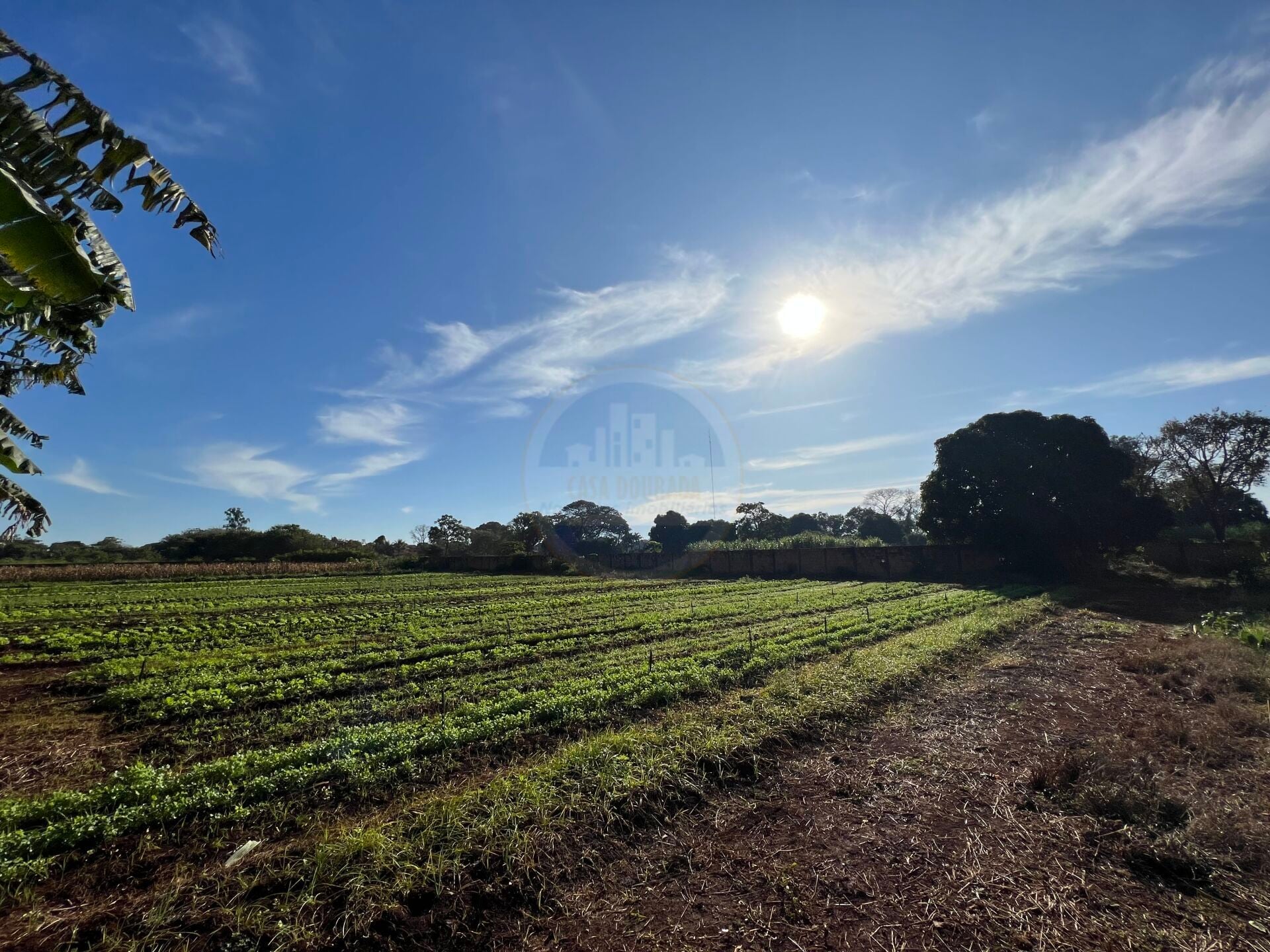 Rural no Parque das Naçôes, foto 8 de 12