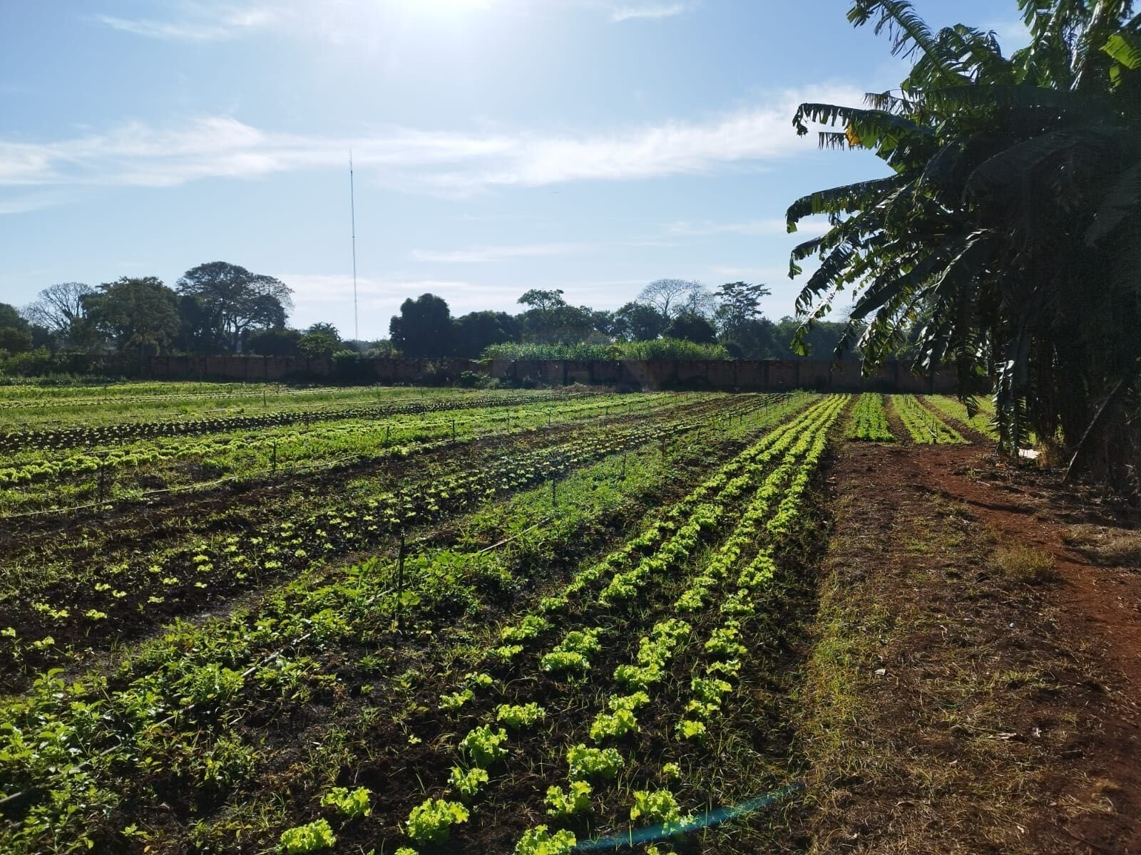Rural no Parque das Naçôes, foto 6 de 12