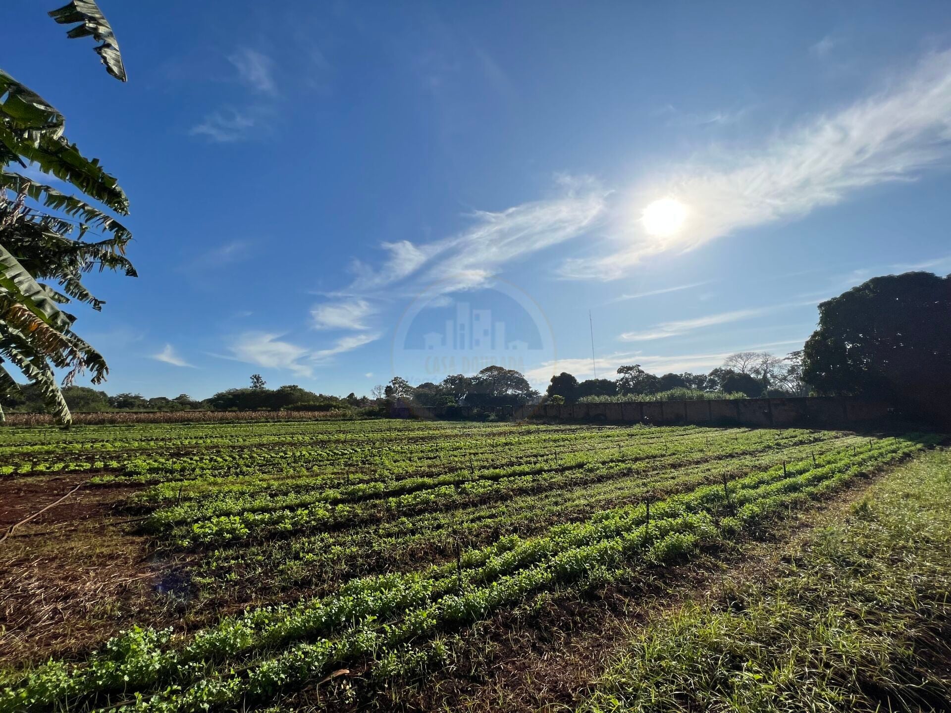 Rural no Parque das Naçôes, foto 11 de 12