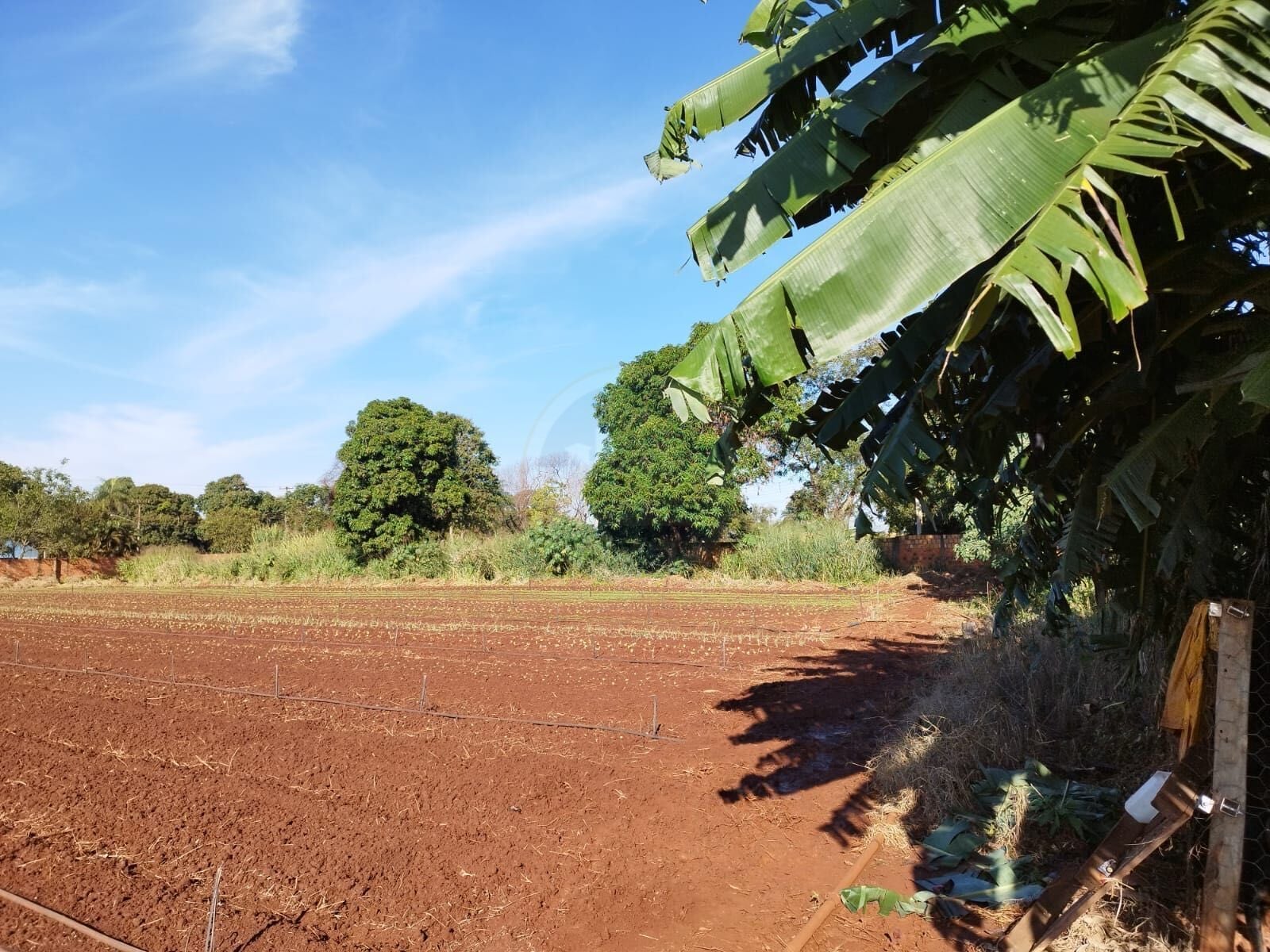 Rural no Parque das Naçôes, foto 9 de 12