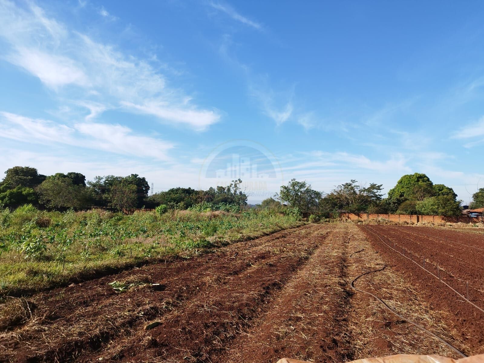 Rural no Parque das Naçôes, foto 7 de 12