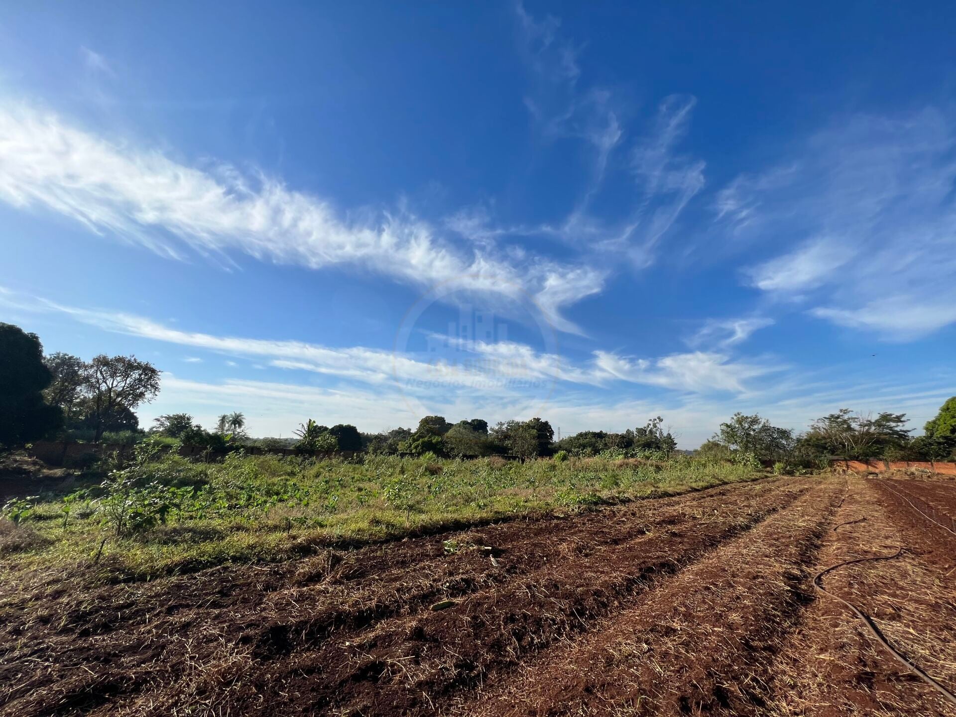 Rural no Parque das Naçôes, foto 10 de 12