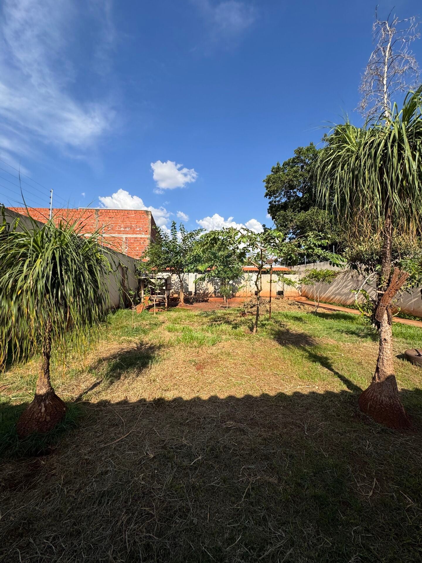 Casa no Jardim Climax, foto 21 de 26