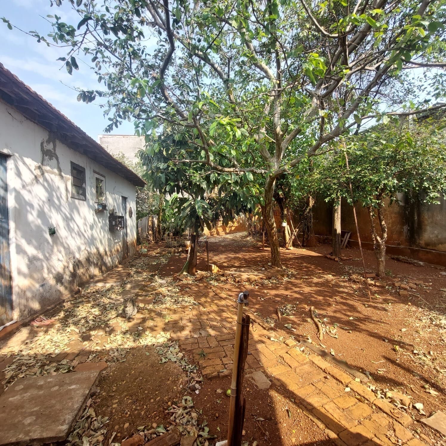 Casa na Vila Planalto, foto 11 de 11