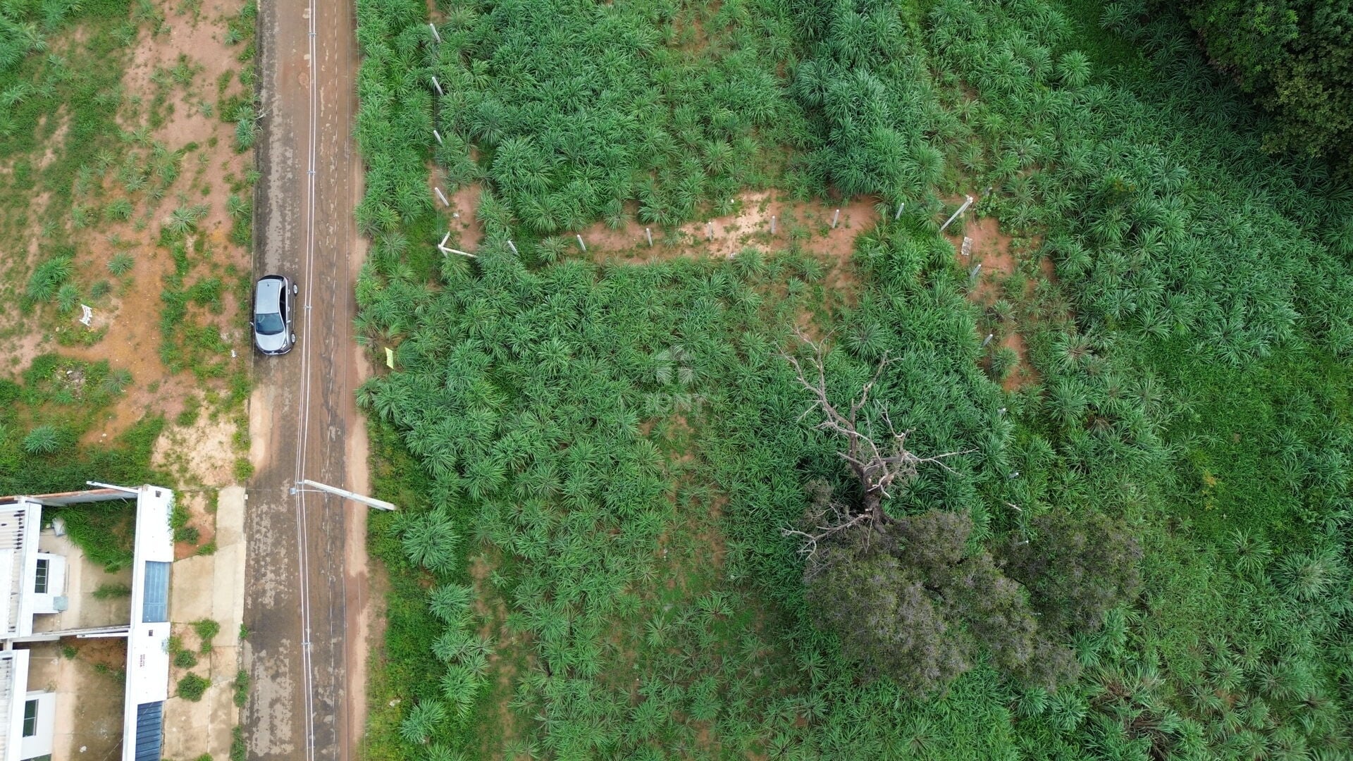 Terreno à venda com 250m² de terreno no Loteamento Bertaville, Palmas (TO) — foto 6 de 14