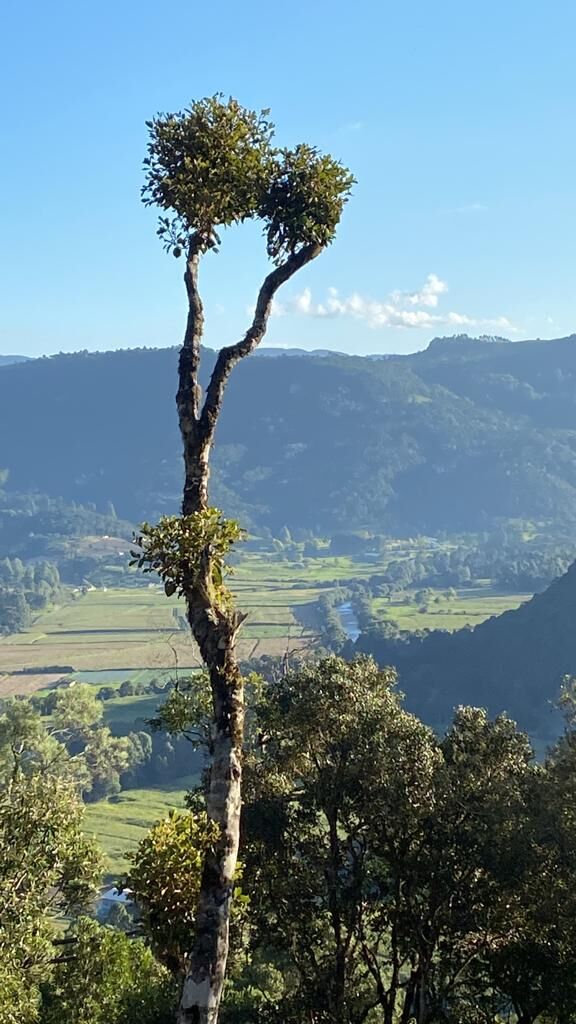 Imagem principal do imóvel
