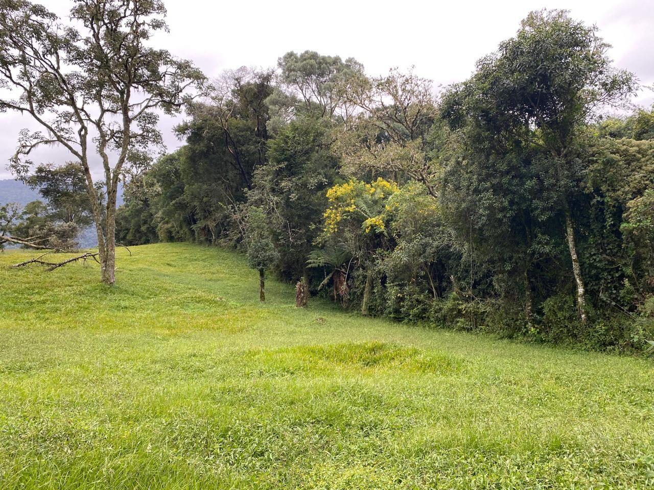Imagem principal do imóvel