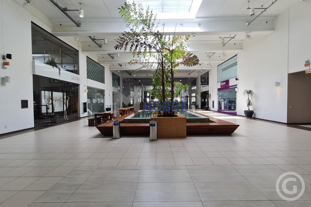 Comercial à venda com 2 banheiros, 3 vagas e 250m² no Saco Grande, Florianópolis (SC) — foto 11 de 30