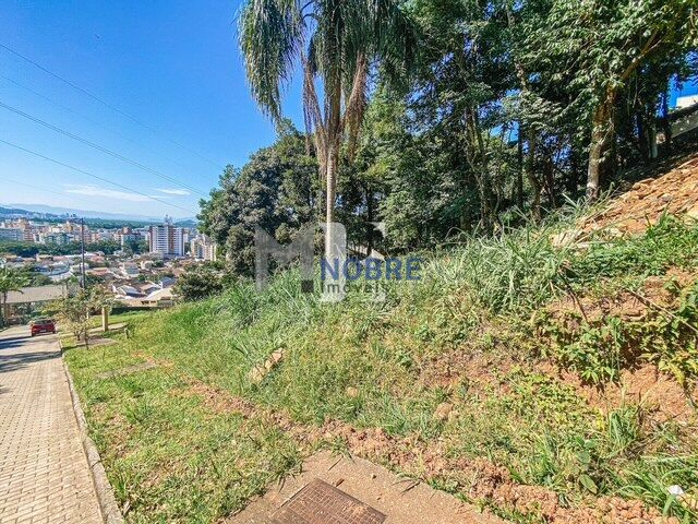 Terreno à venda com 700m² de terreno no Córrego Grande, Florianópolis (SC) — foto 3 de 22