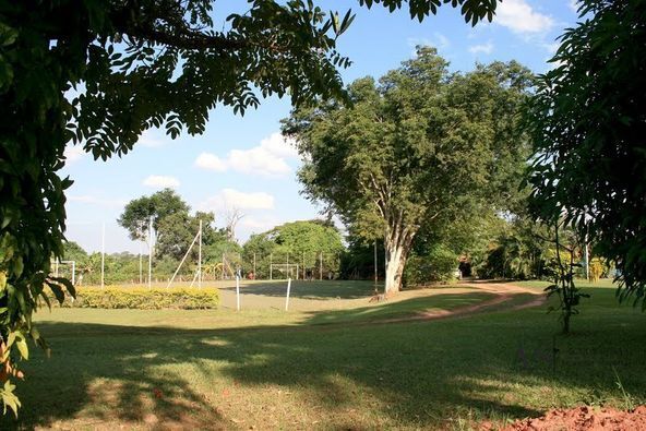 Fazenda / Sítio / Chácara com 3 quartos à venda, 5000m² — foto 16 de 27