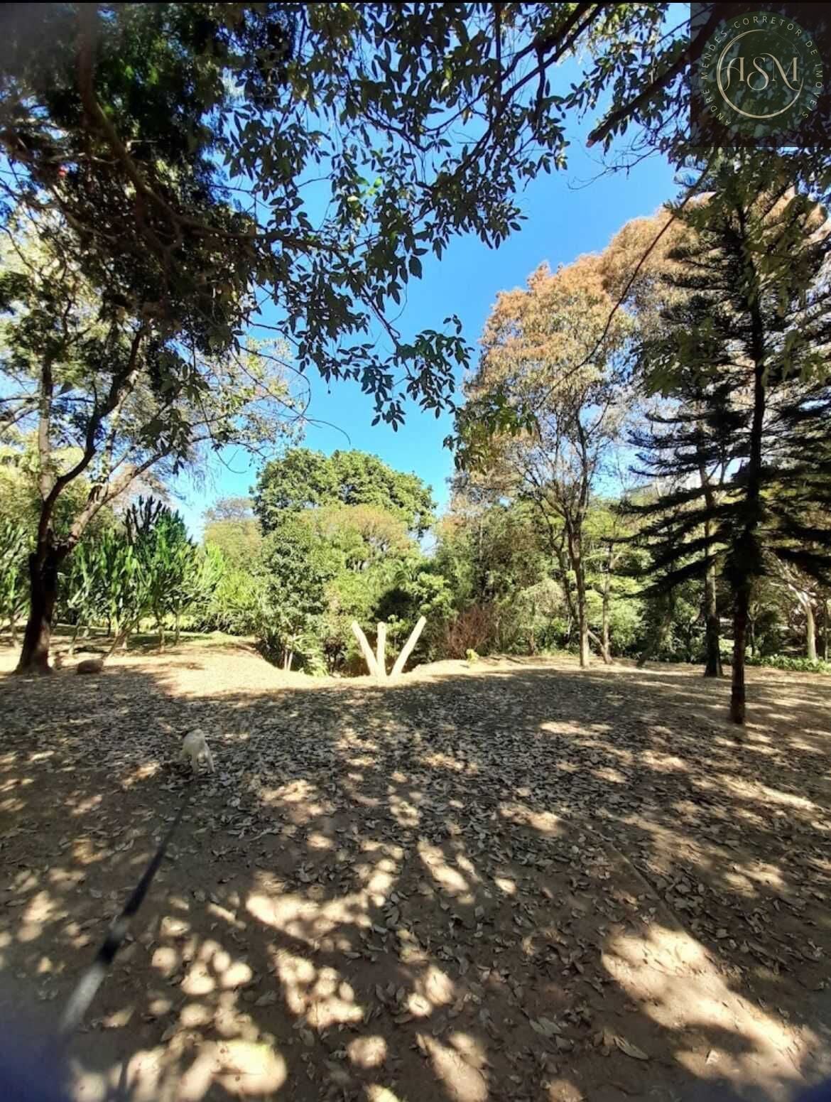 Casa, 3 quartos, 270 m² - Foto 25