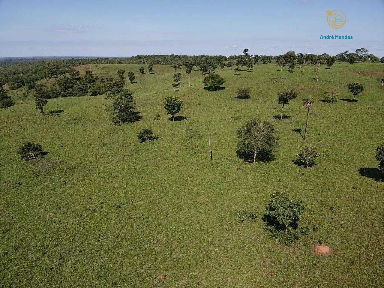 Terreno, 5000 m² - Foto 3