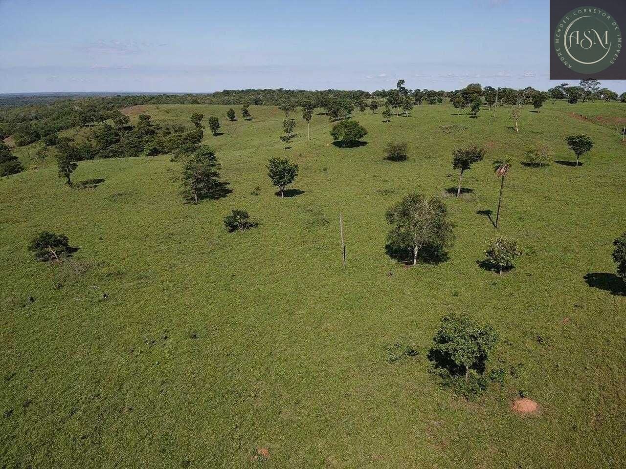 Terreno, 5000 m² - Foto 3