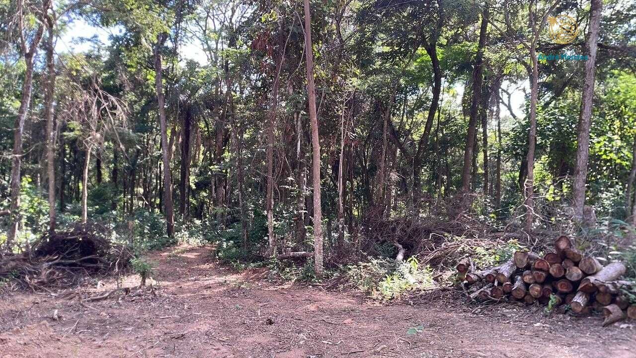 Terreno, 5000 m² - Foto 24