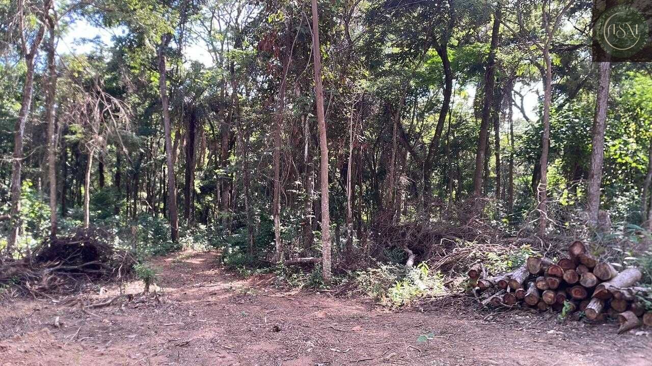 Terreno, 5000 m² - Foto 24
