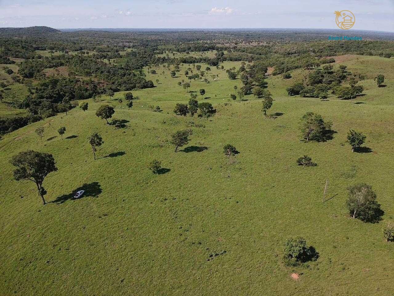 Terreno, 5000 m² - Foto 4