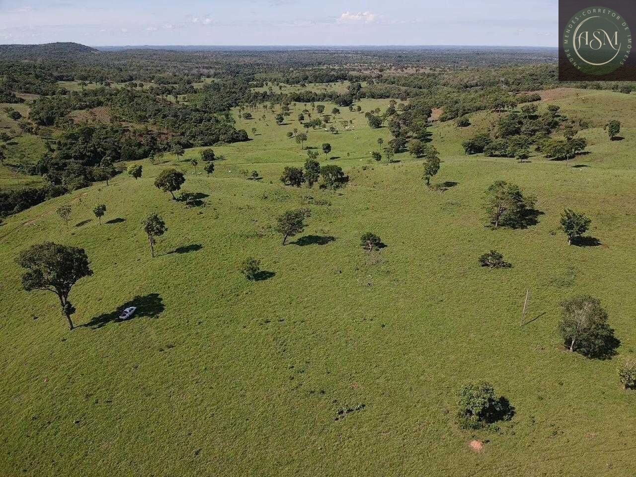 Terreno, 5000 m² - Foto 4