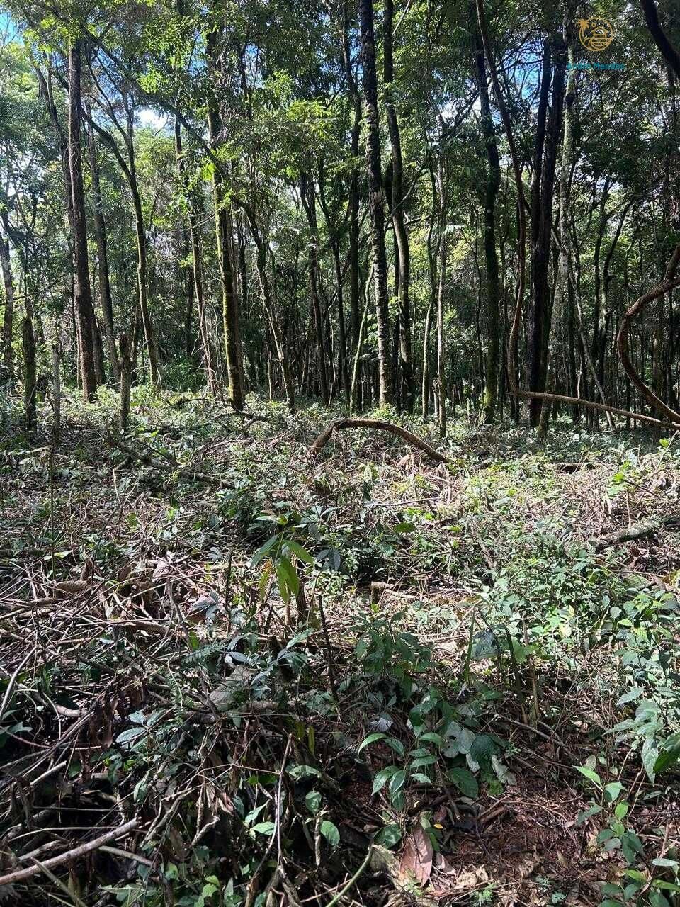 Terreno, 5000 m² - Foto 18