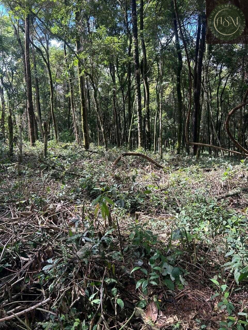 Terreno, 5000 m² - Foto 18