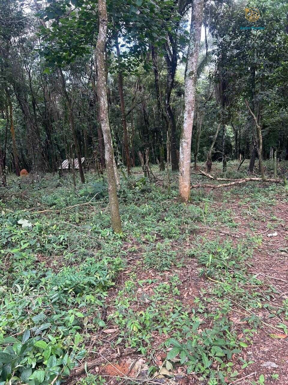Terreno, 5000 m² - Foto 22