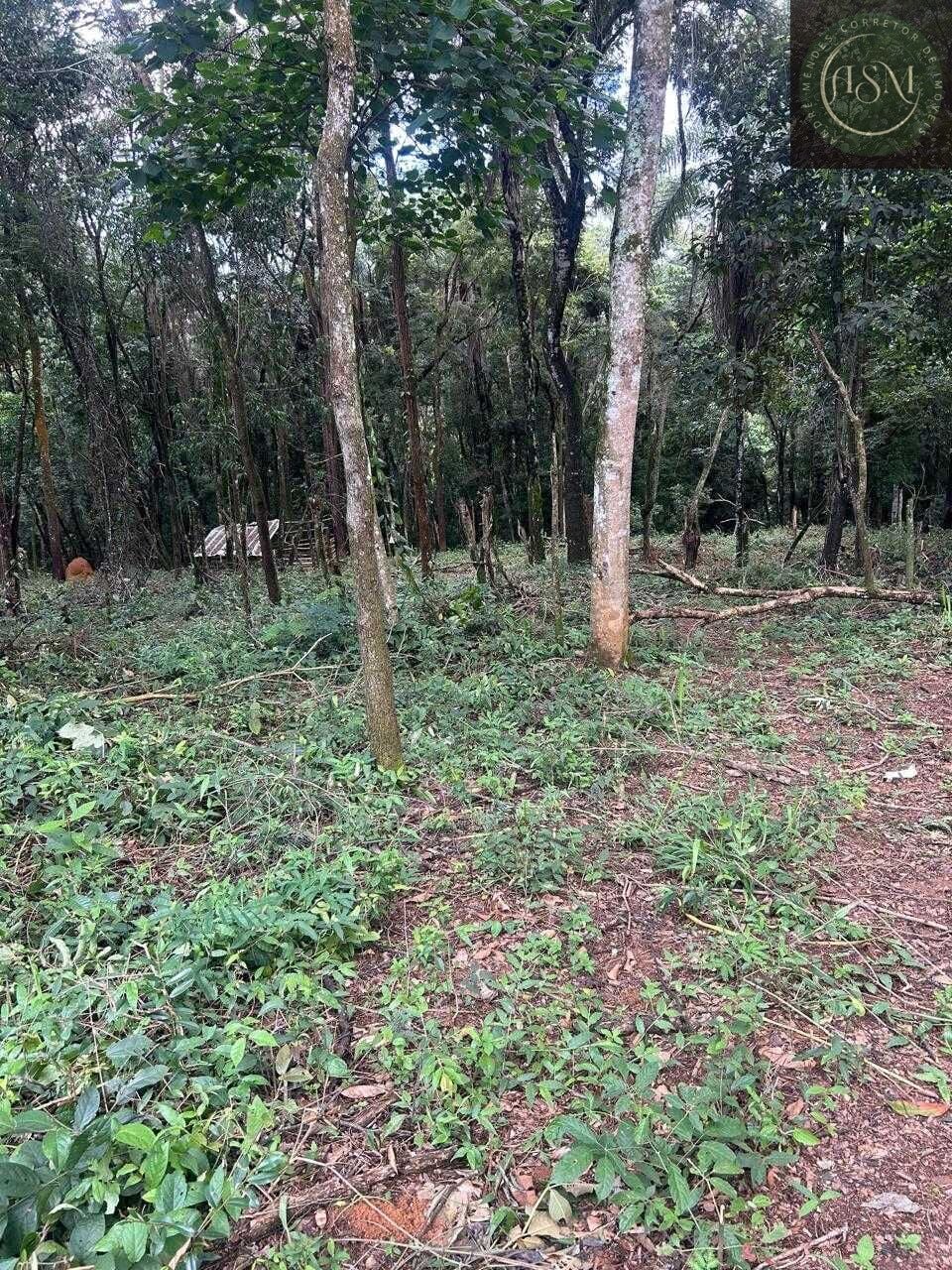 Terreno, 5000 m² - Foto 22