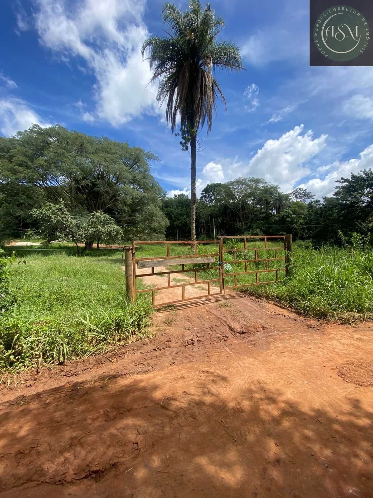 Terreno, 5000 m² - Foto 12