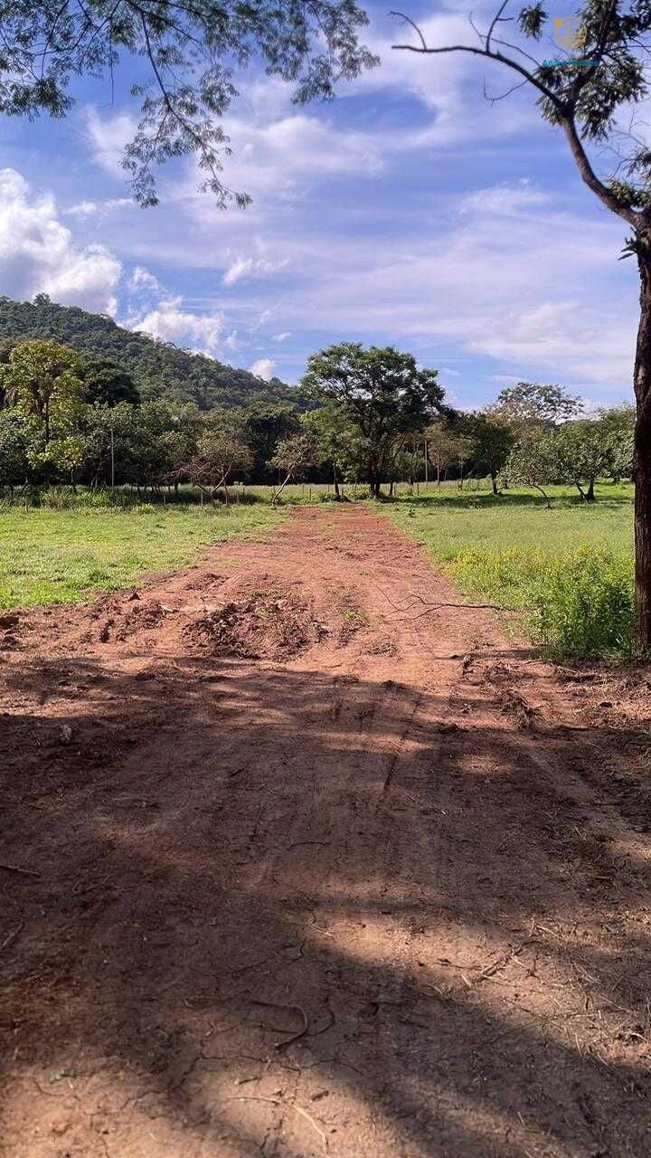 Terreno, 5000 m² - Foto 26