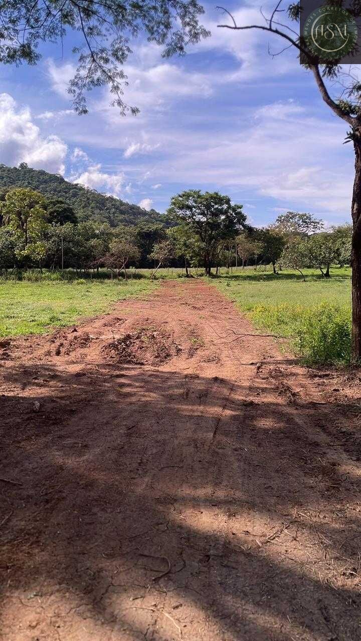 Terreno, 5000 m² - Foto 26