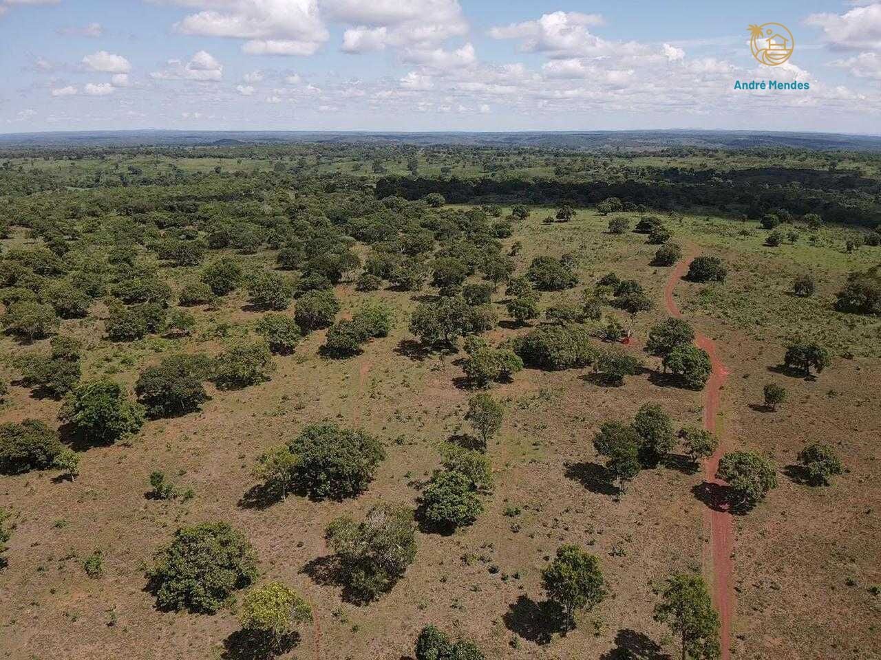 Terreno, 5000 m² - Foto 5