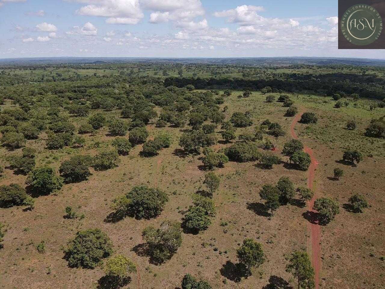Terreno, 5000 m² - Foto 5